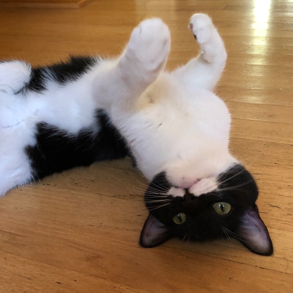 Meet your Posher, Aubrie